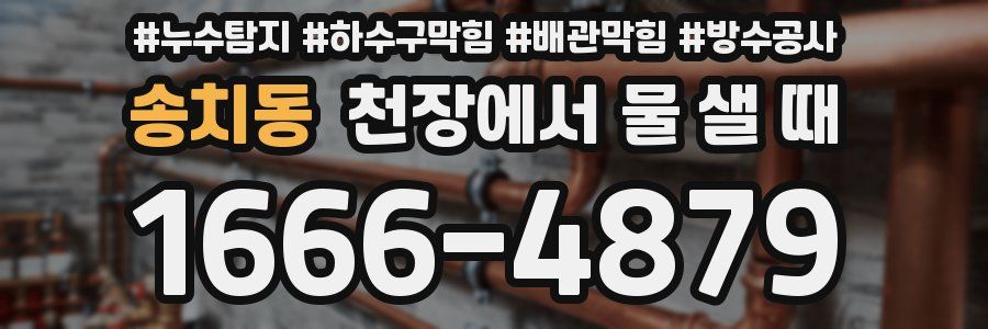 송치동 천장에서 물 샐 때