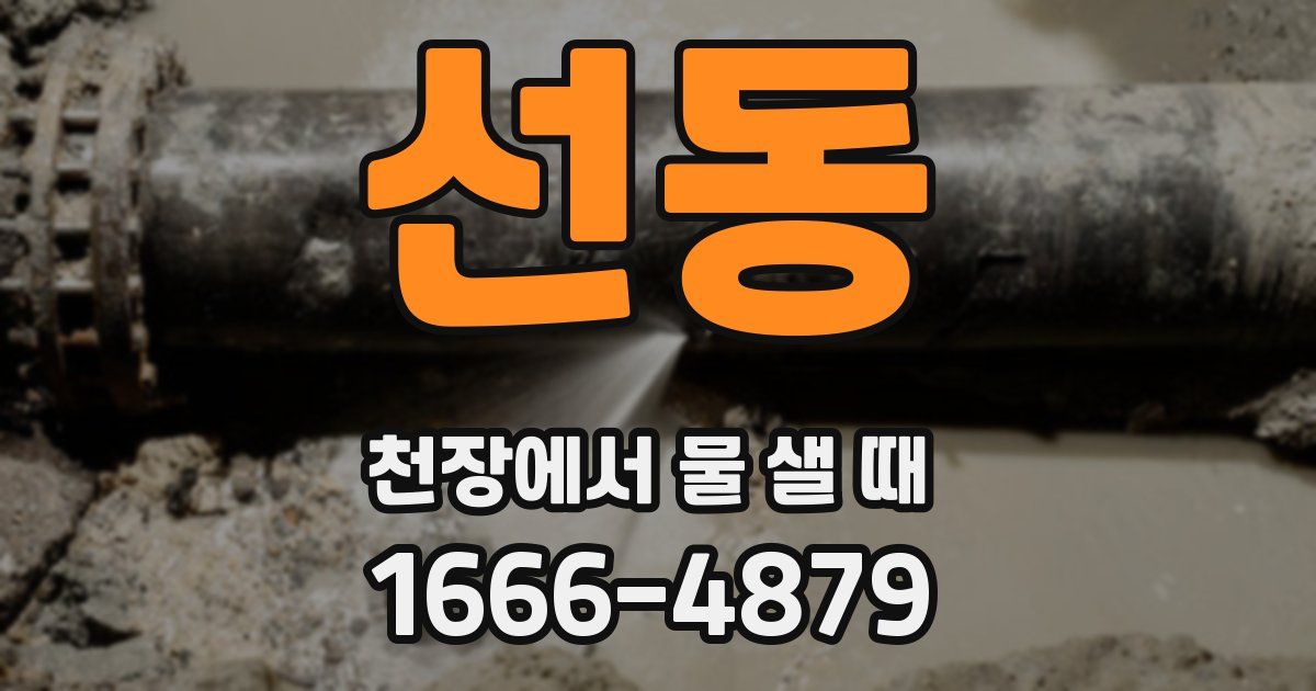 선동 천장에서 물 샐 때
