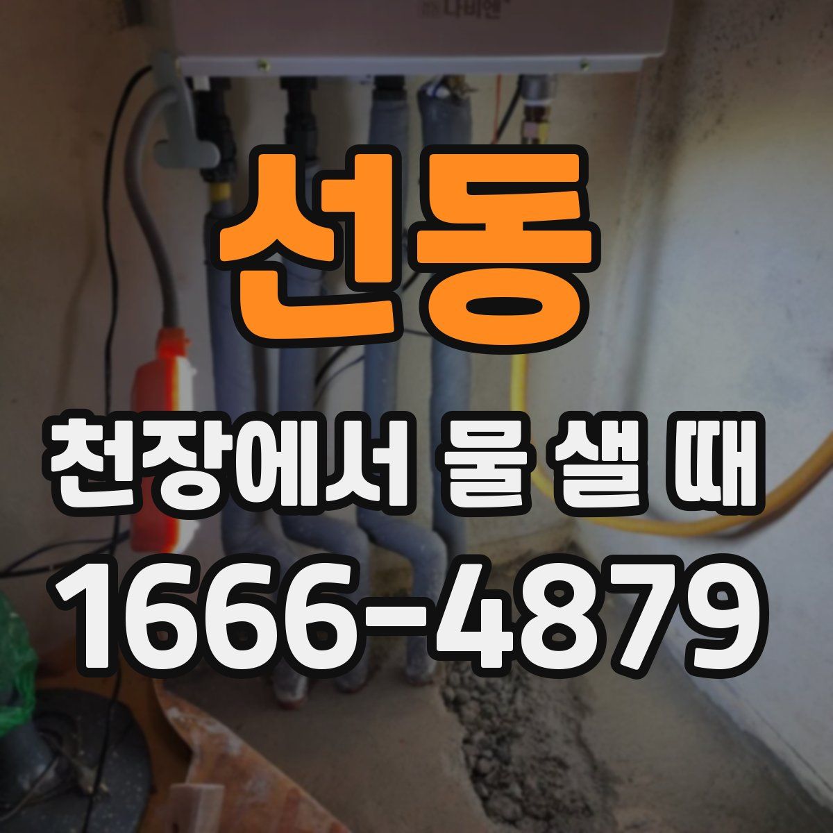 선동 천장에서 물 샐 때