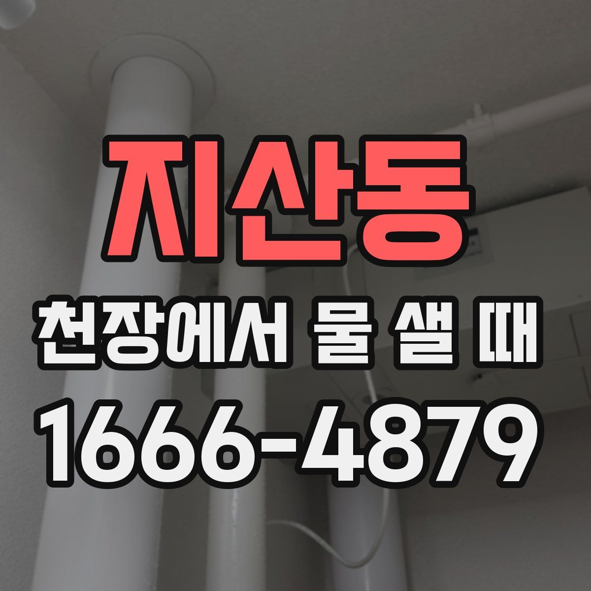 지산동 천장에서 물 샐 때