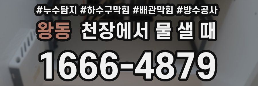 왕동 천장에서 물 샐 때
