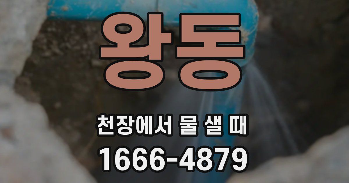 왕동 천장에서 물 샐 때