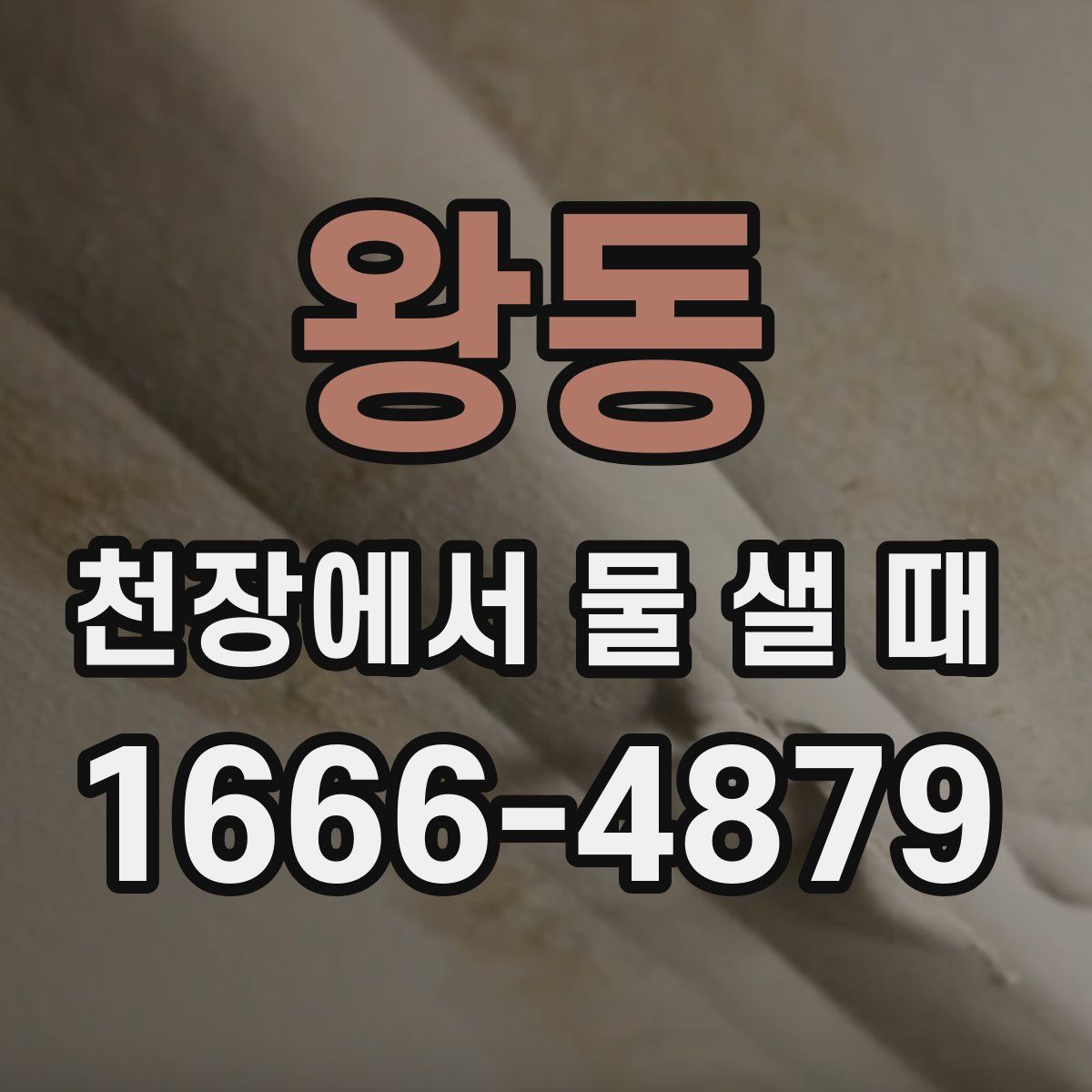 왕동 천장에서 물 샐 때