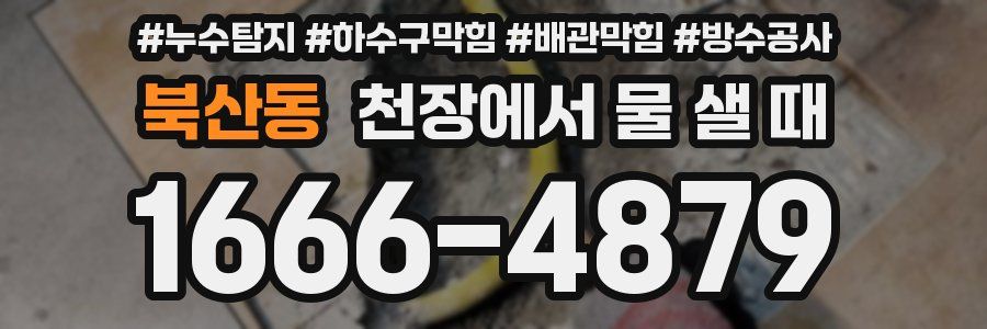 북산동 천장에서 물 샐 때