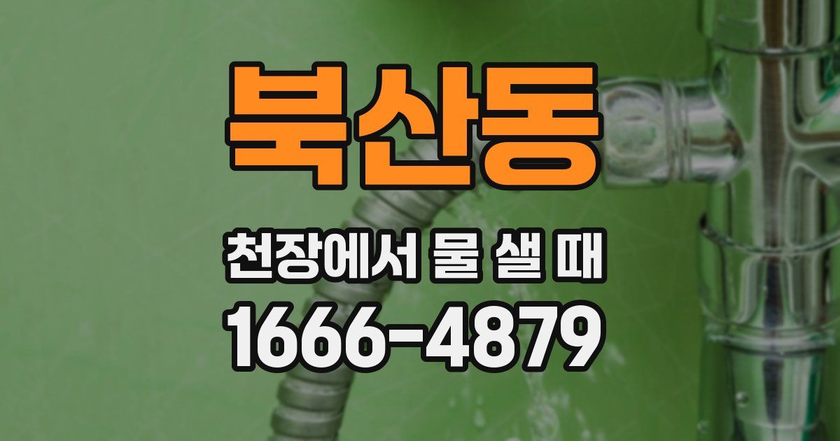 북산동 천장에서 물 샐 때