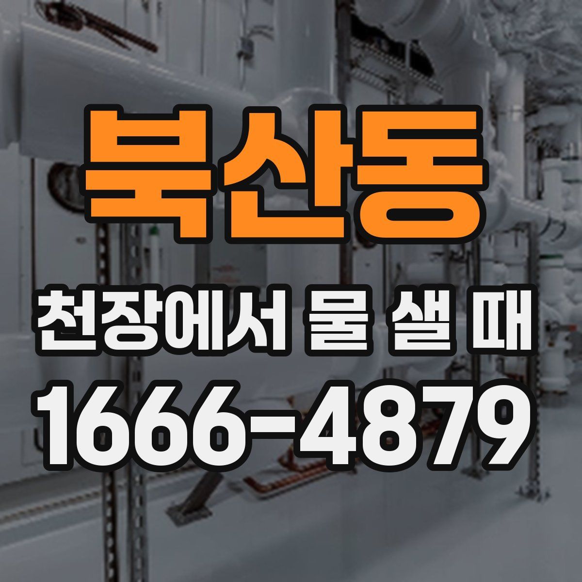 북산동 천장에서 물 샐 때