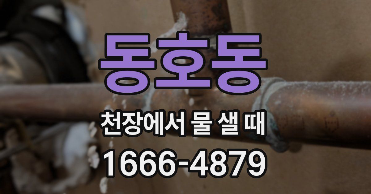 동호동 천장에서 물 샐 때