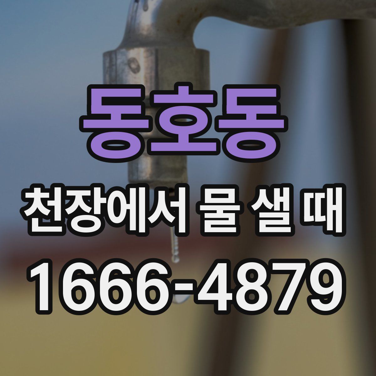 동호동 천장에서 물 샐 때