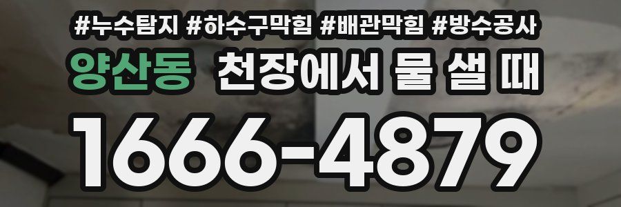 양산동 천장에서 물 샐 때