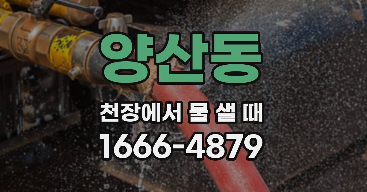 양산동 천장에서 물 샐 때