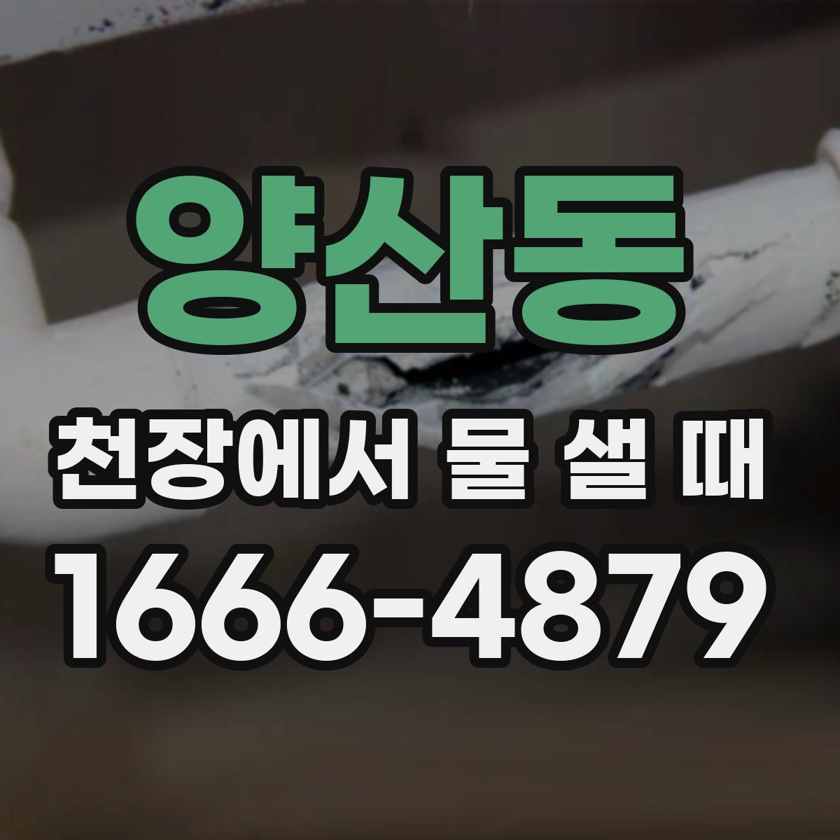 양산동 천장에서 물 샐 때