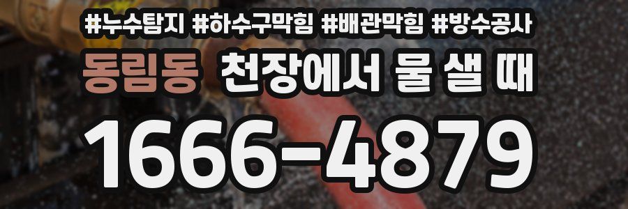 동림동 천장에서 물 샐 때