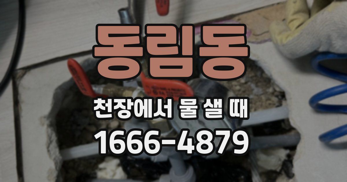 동림동 천장에서 물 샐 때