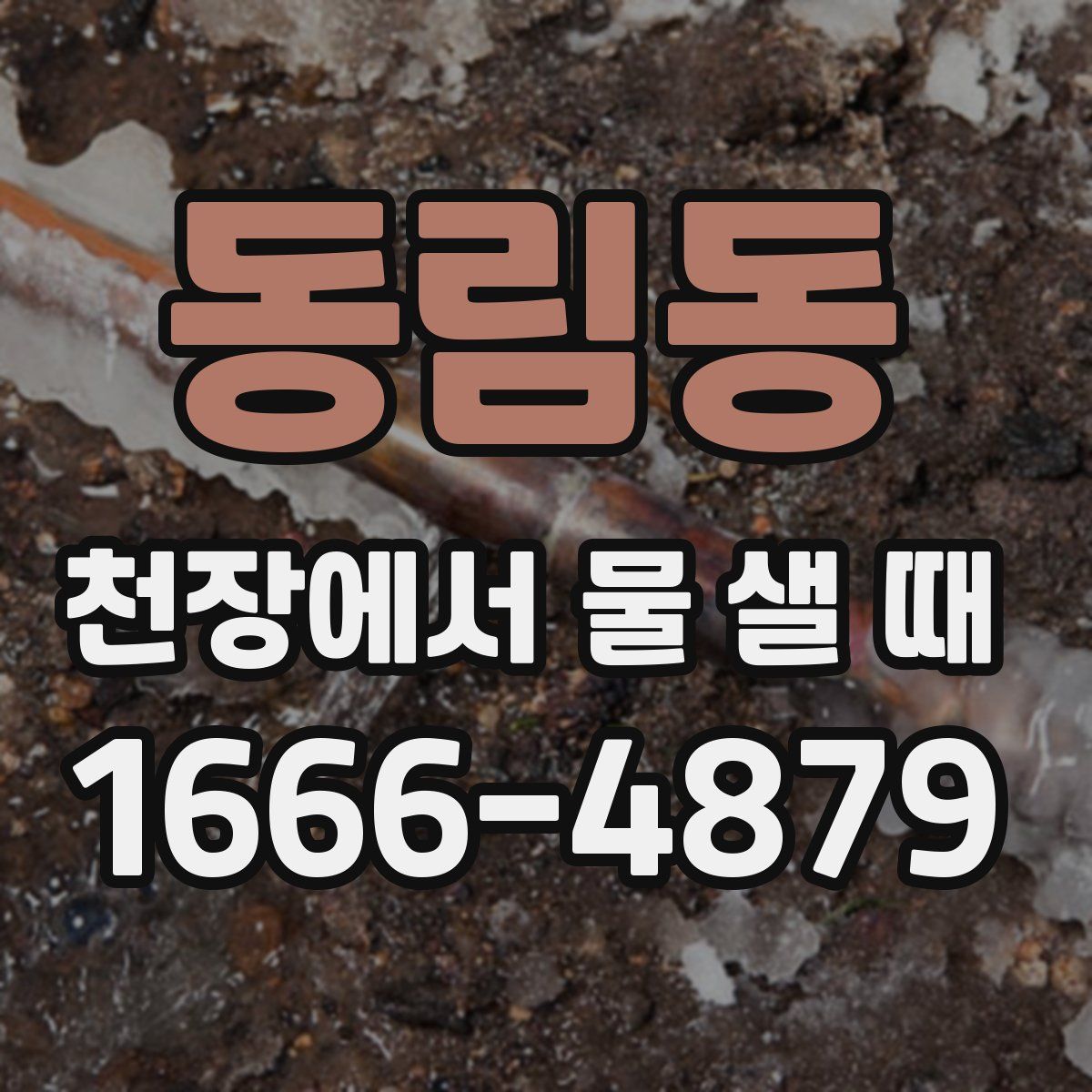 동림동 천장에서 물 샐 때
