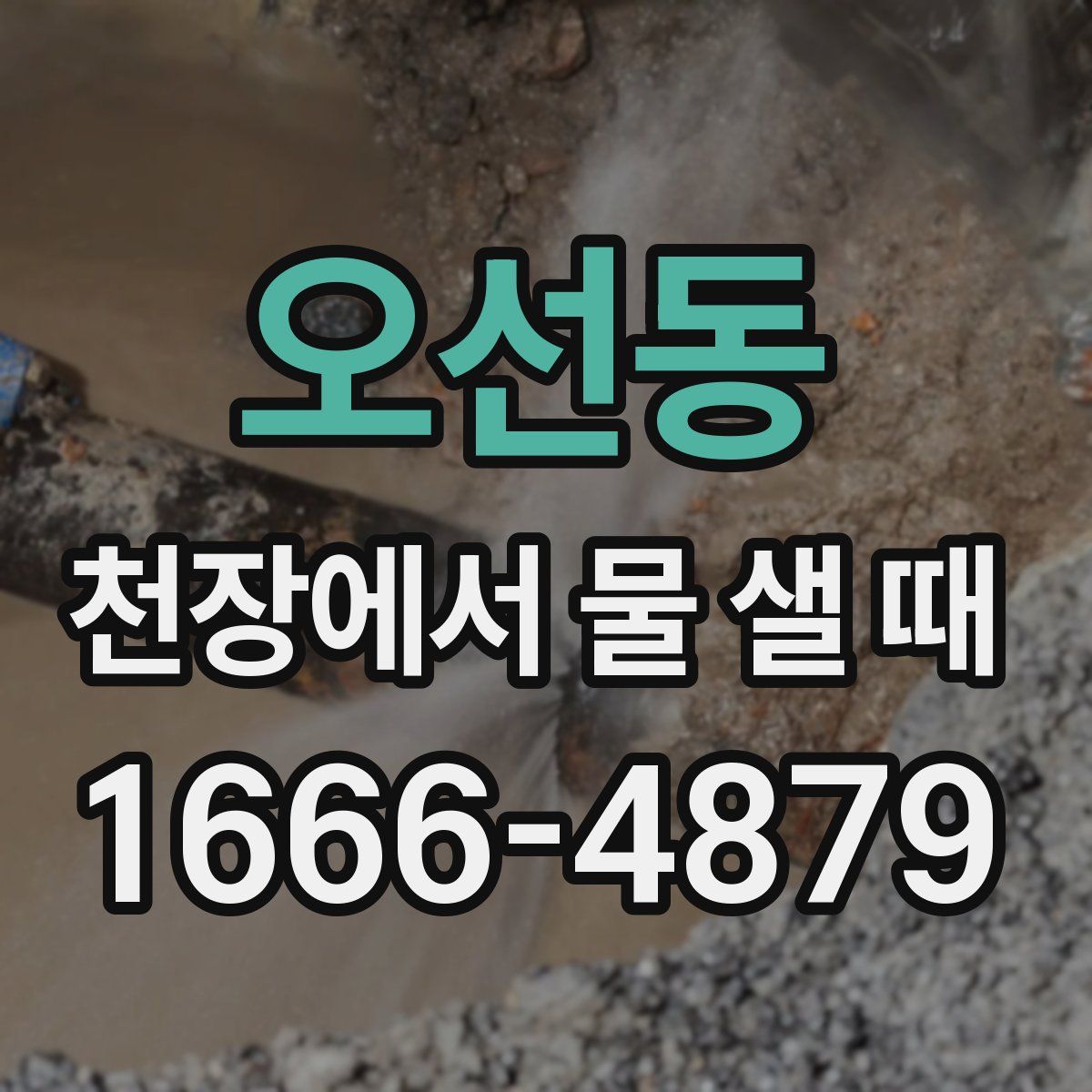 오선동 천장에서 물 샐 때