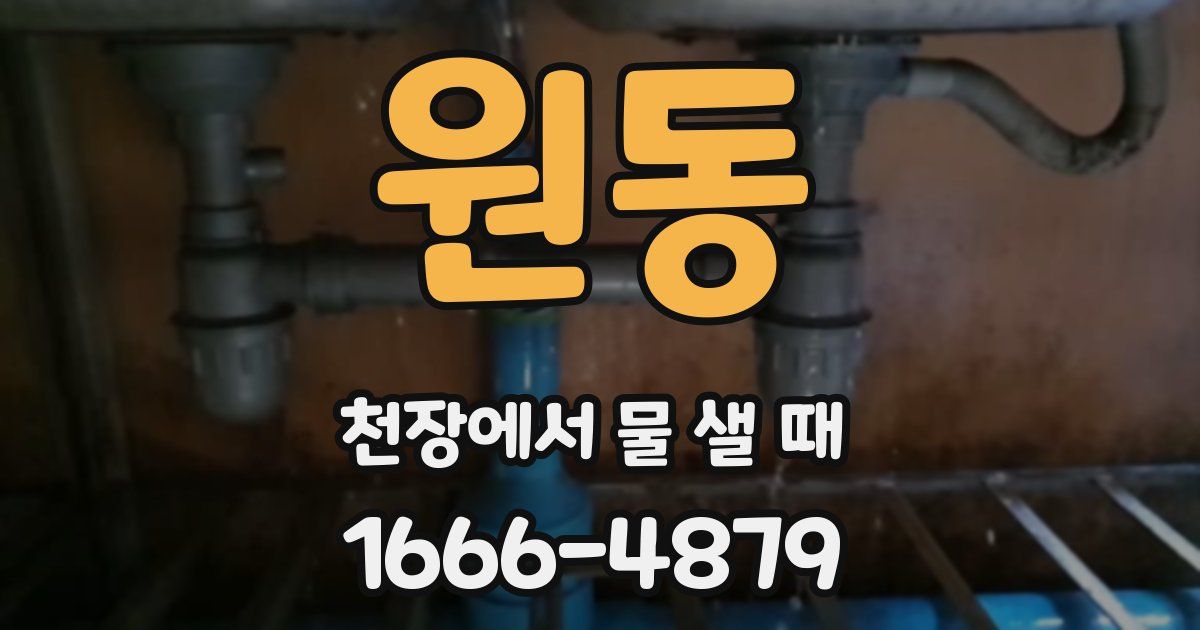 원동 천장에서 물 샐 때