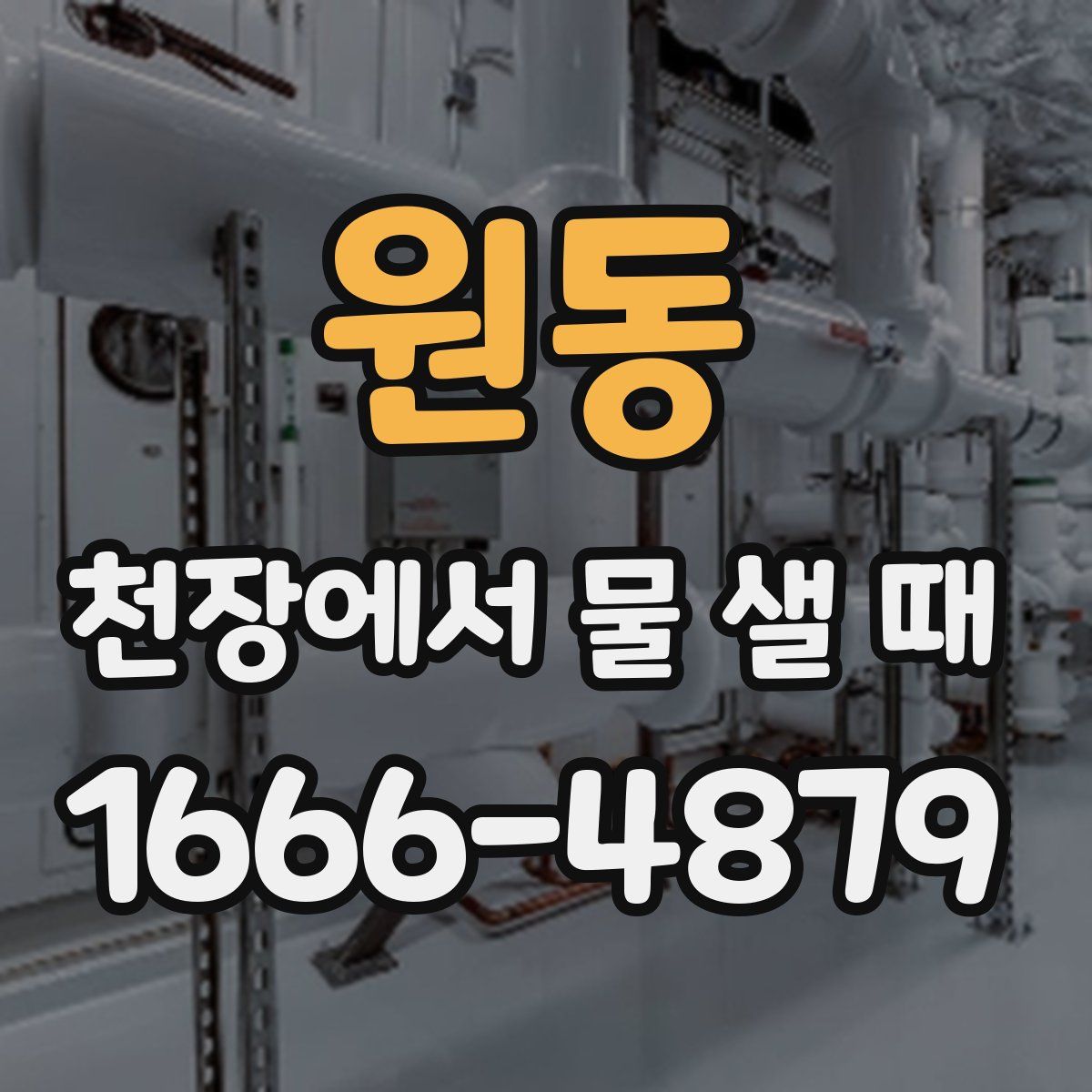 원동 천장에서 물 샐 때