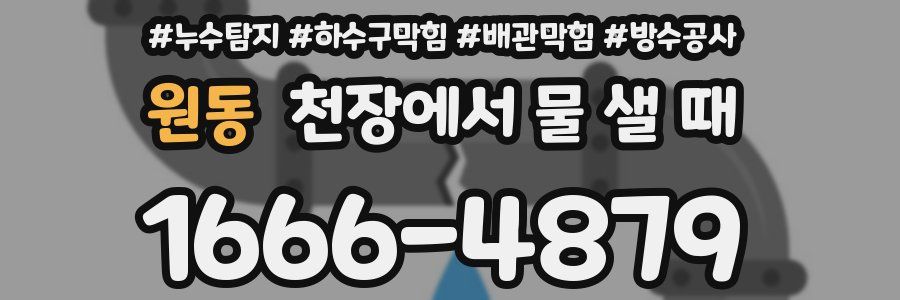 원동 천장에서 물 샐 때