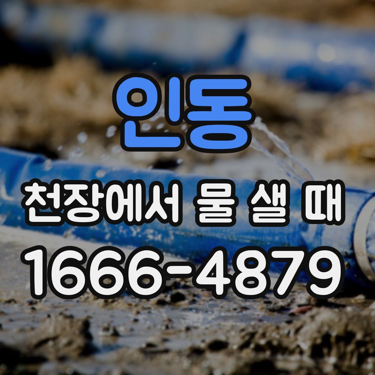 인동 천장에서 물 샐 때