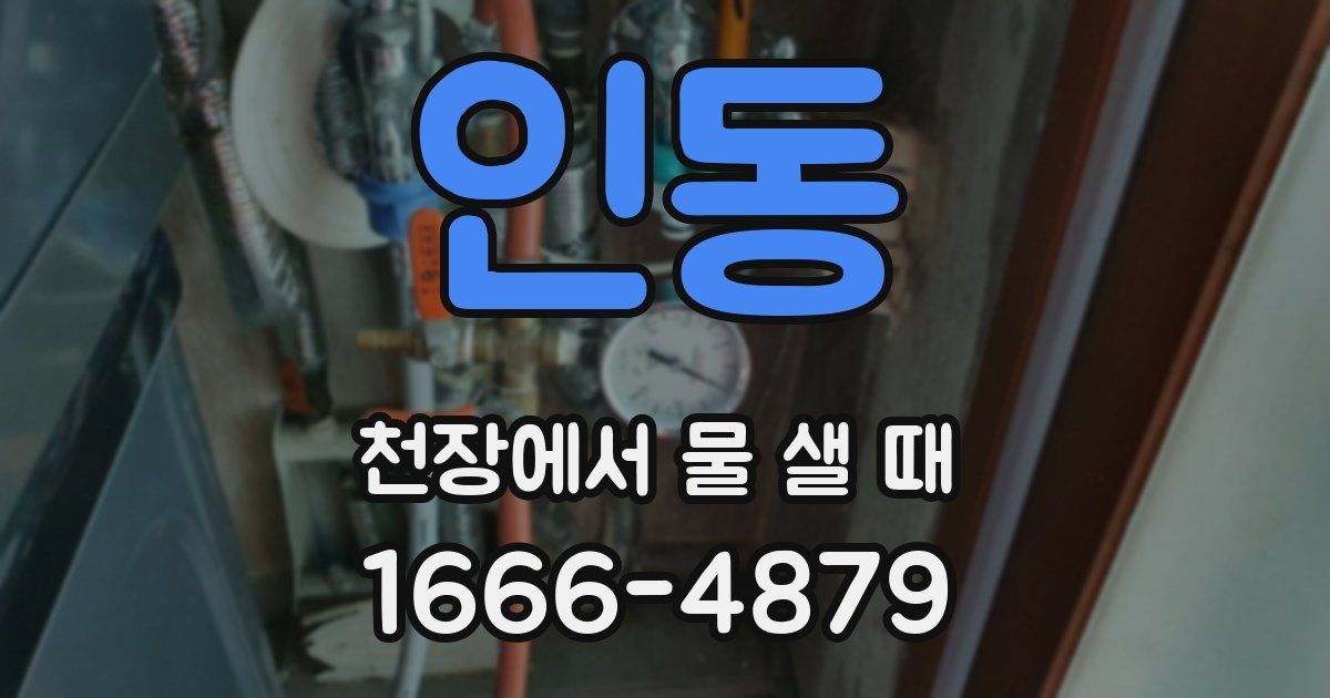 인동 천장에서 물 샐 때