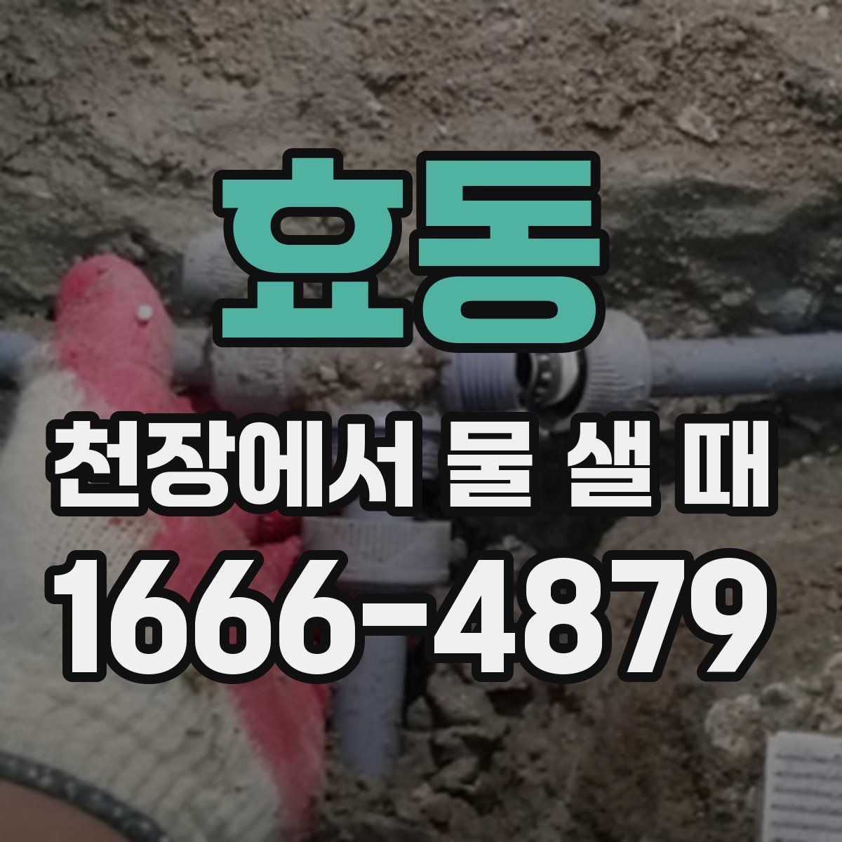 효동 천장에서 물 샐 때