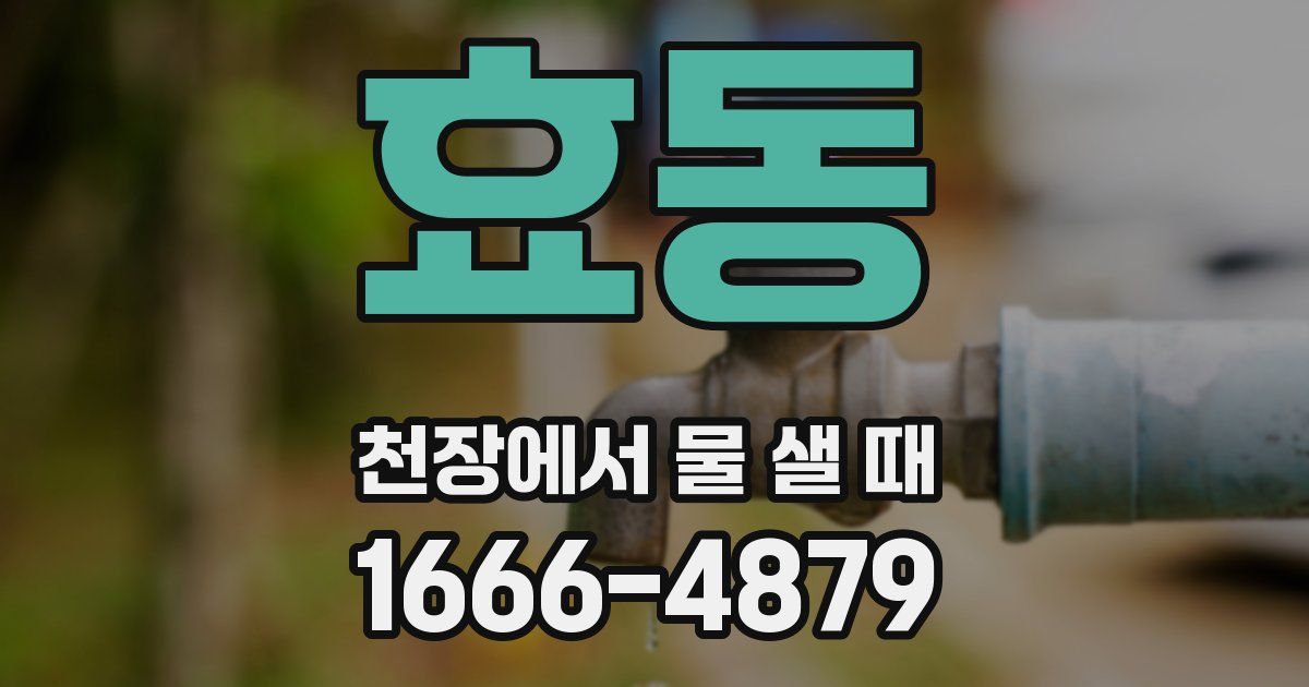 효동 천장에서 물 샐 때