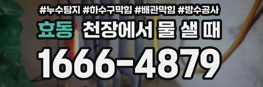 효동 천장에서 물 샐 때