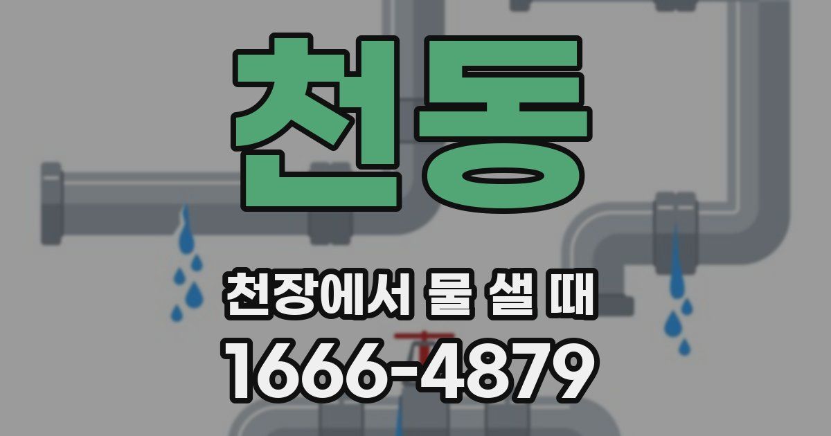 천동 천장에서 물 샐 때