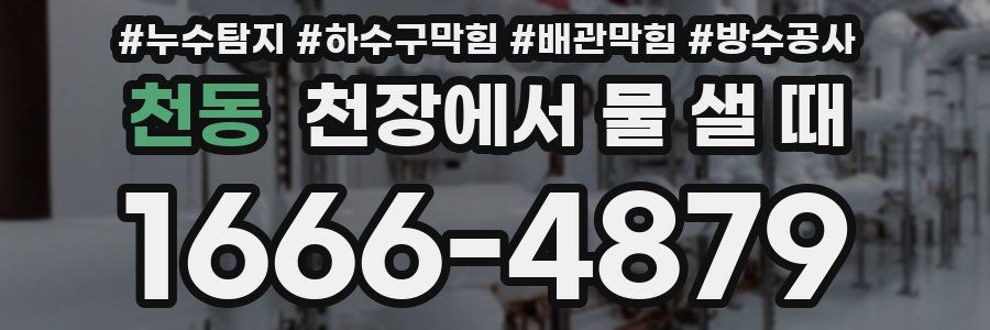 천동 천장에서 물 샐 때