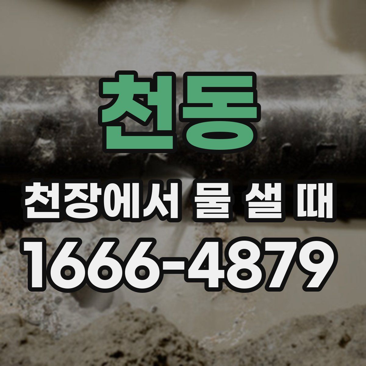천동 천장에서 물 샐 때