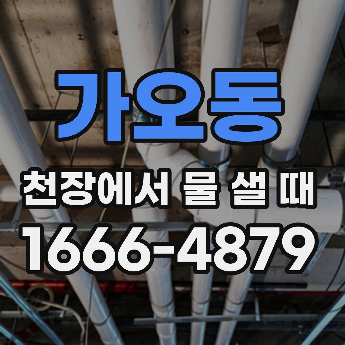 가오동 천장에서 물 샐 때
