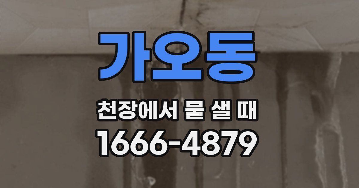 가오동 천장에서 물 샐 때