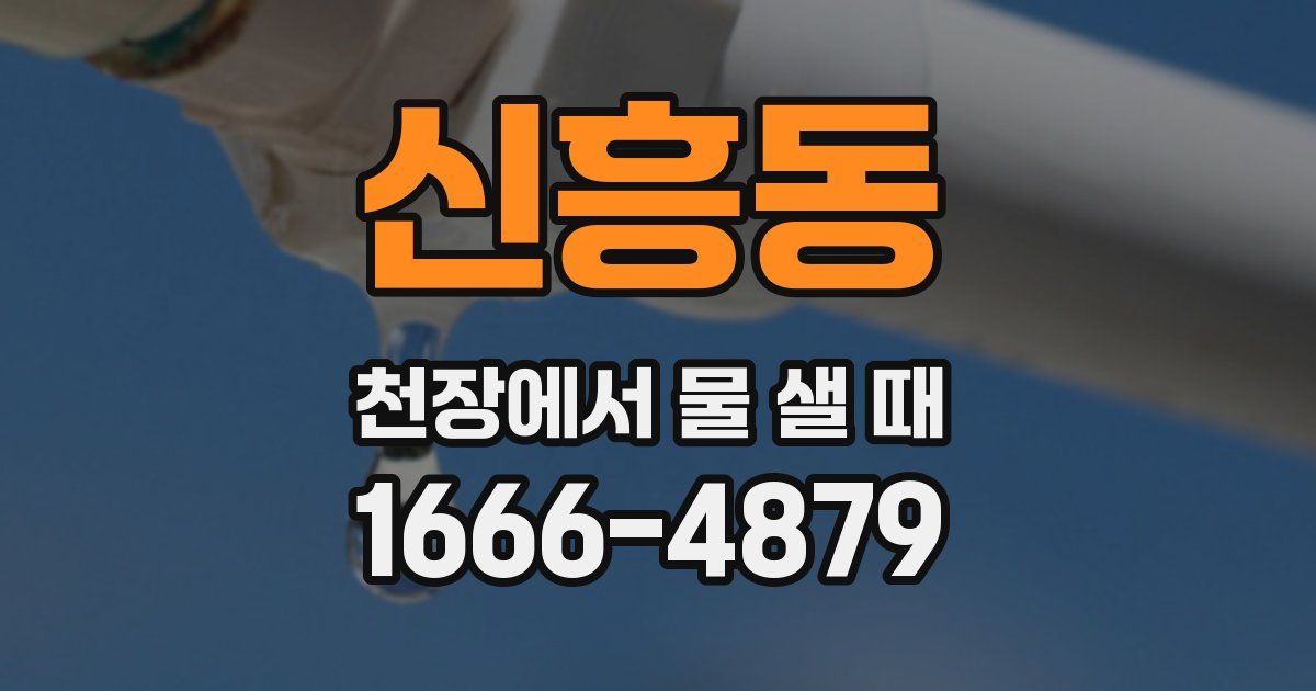 신흥동 천장에서 물 샐 때
