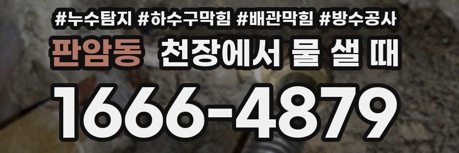 판암동 천장에서 물 샐 때