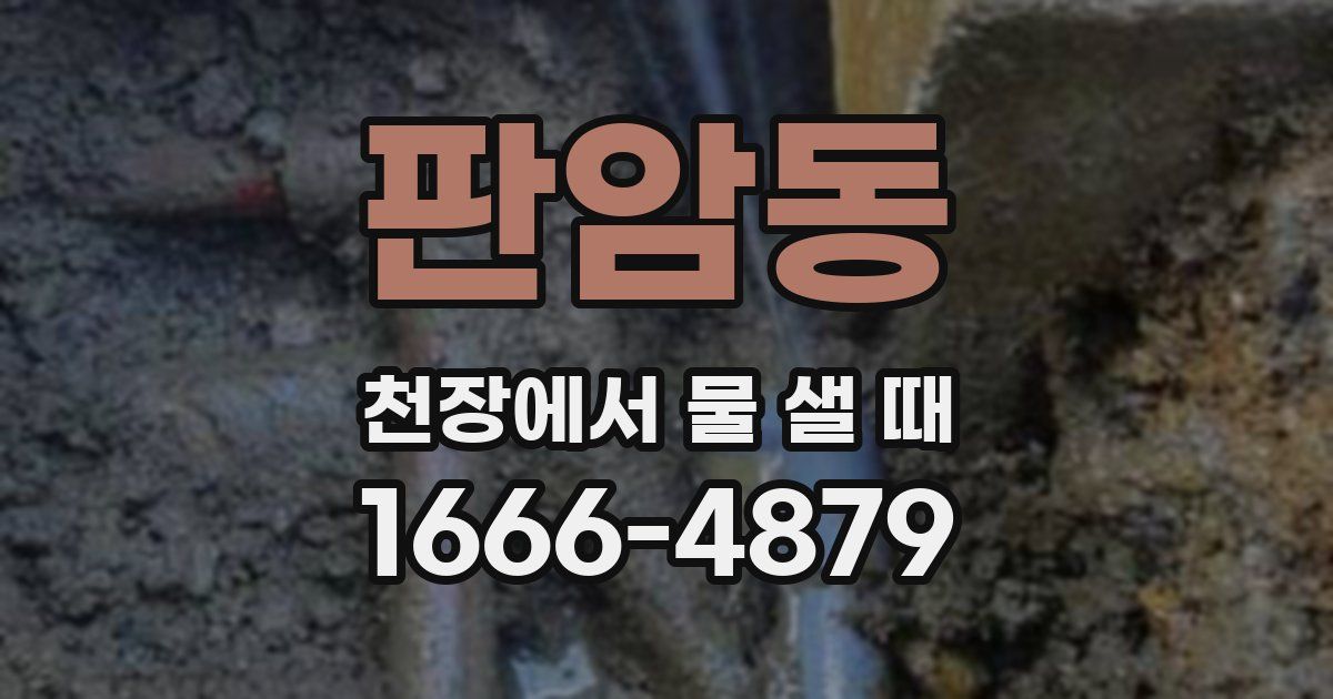 판암동 천장에서 물 샐 때
