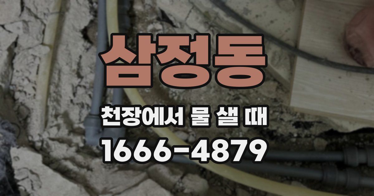 삼정동 천장에서 물 샐 때