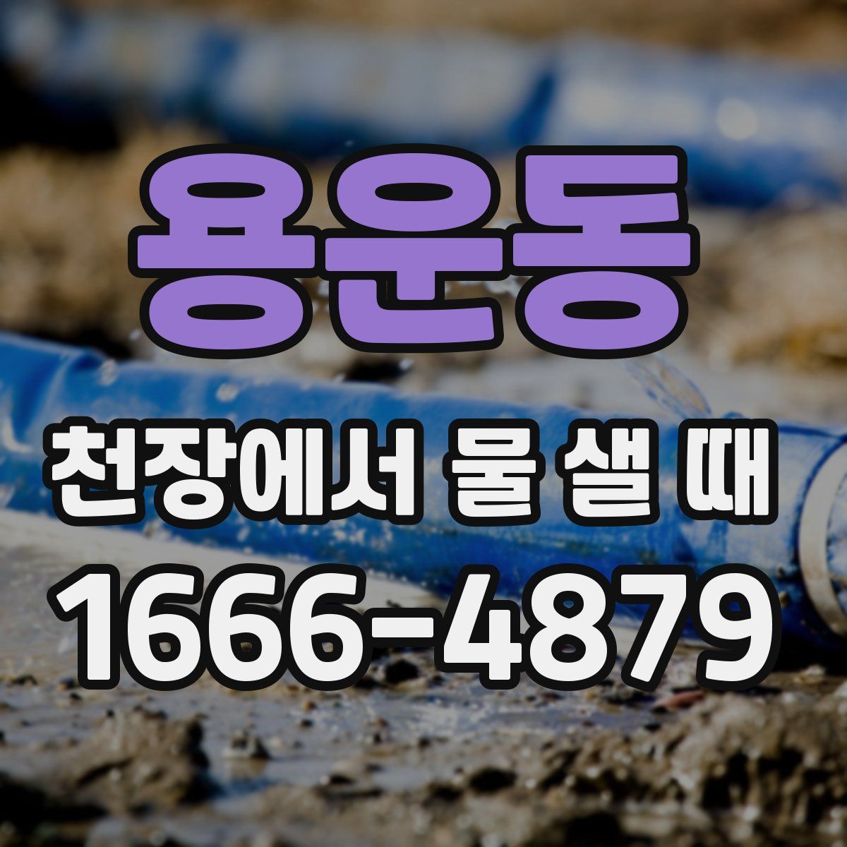 용운동 천장에서 물 샐 때