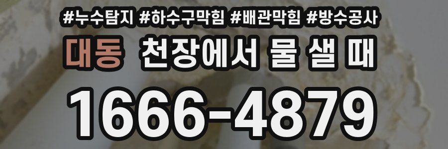 대동 천장에서 물 샐 때