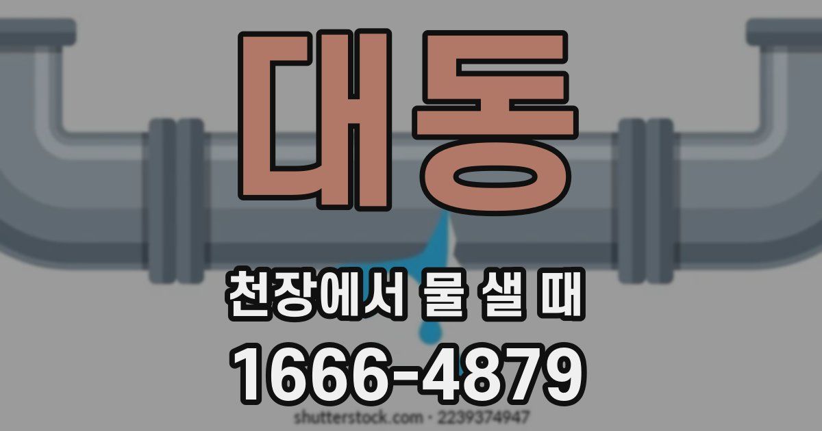 대동 천장에서 물 샐 때