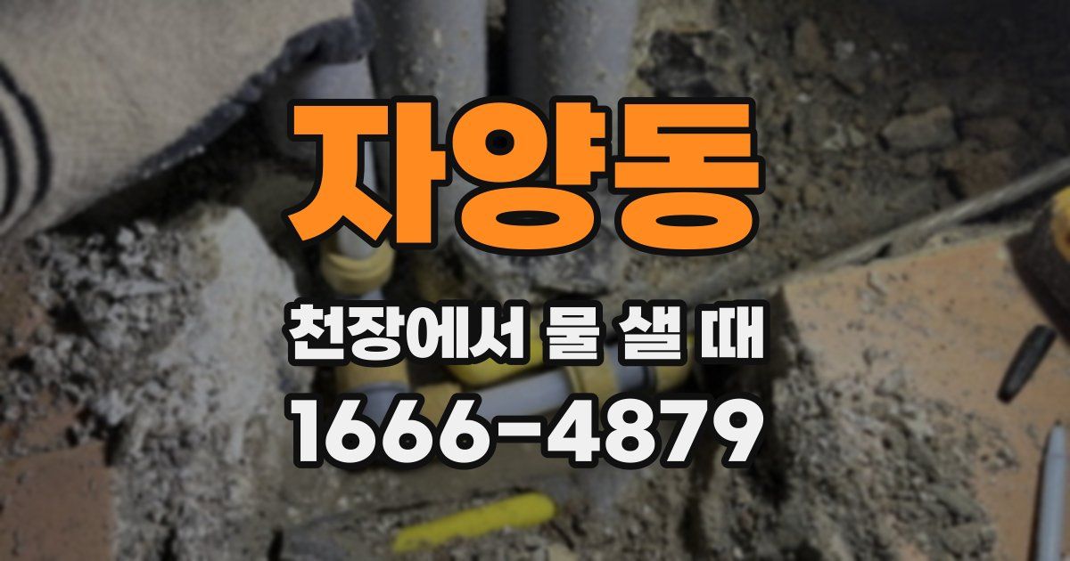 자양동 천장에서 물 샐 때