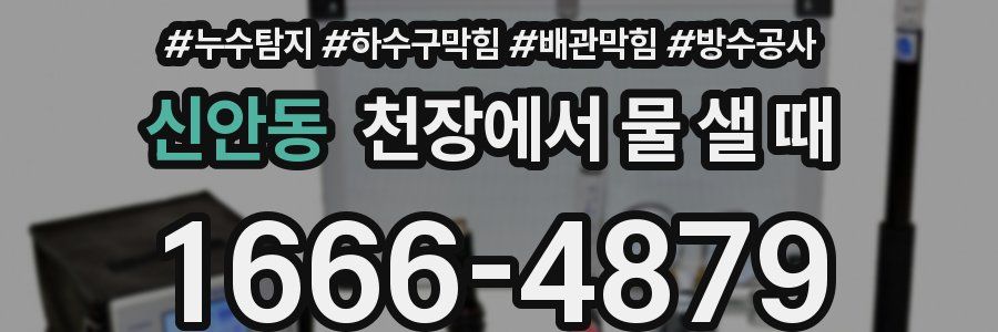 신안동 천장에서 물 샐 때