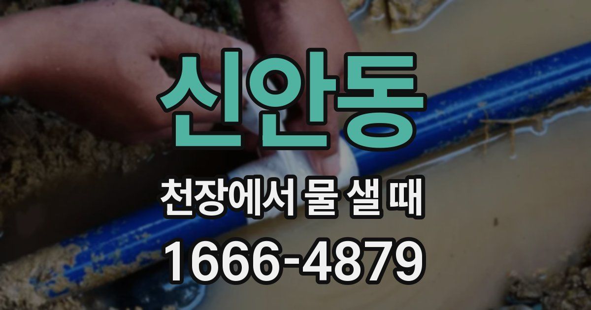 신안동 천장에서 물 샐 때