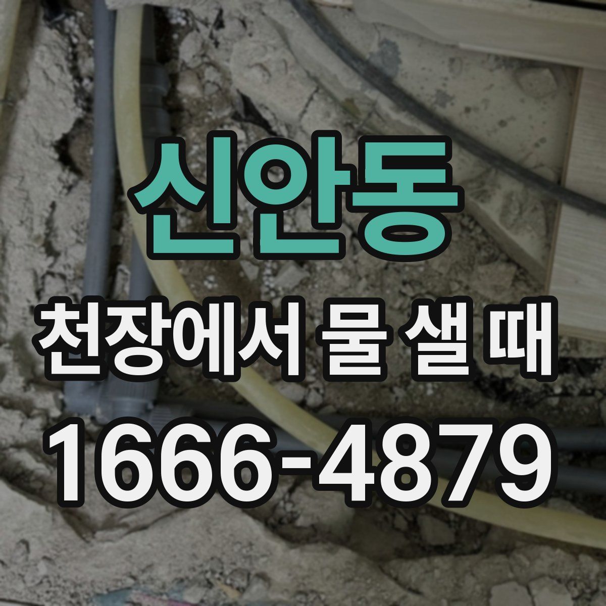 신안동 천장에서 물 샐 때