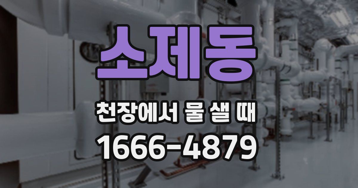 소제동 천장에서 물 샐 때