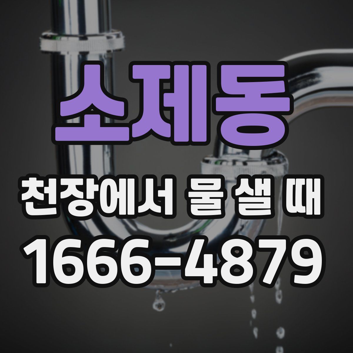 소제동 천장에서 물 샐 때