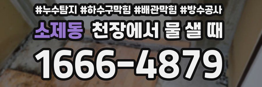 소제동 천장에서 물 샐 때