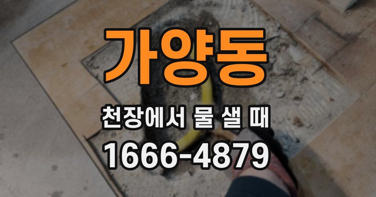 가양동 천장에서 물 샐 때