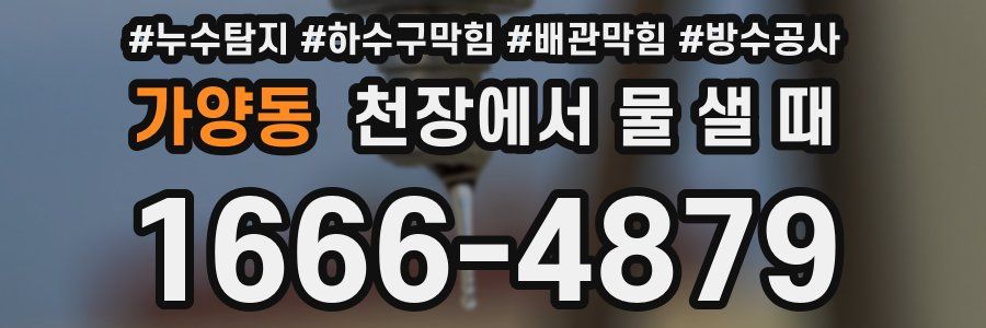 가양동 천장에서 물 샐 때