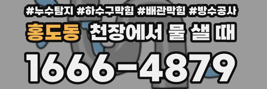 홍도동 천장에서 물 샐 때