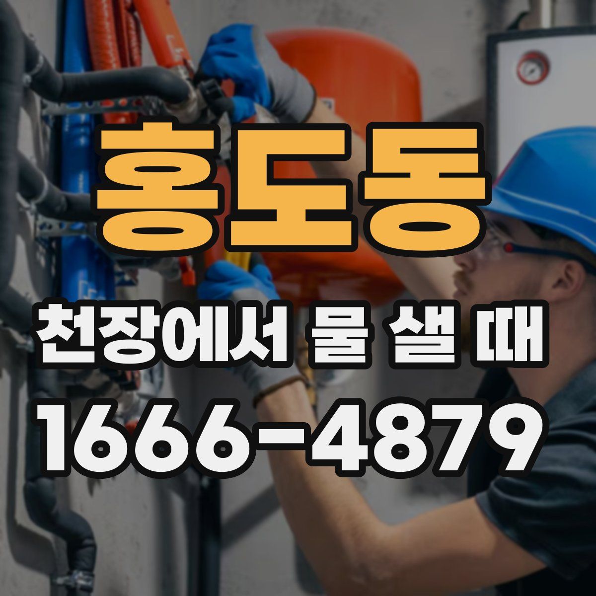 홍도동 천장에서 물 샐 때